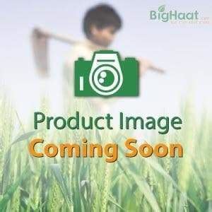 IMPROVED PADDY ARCHANA - Buy Online | BigHaat.com | BigHaat