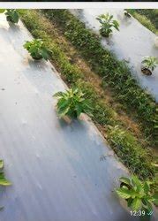 Shade Net Rope - HDPE Shade Net Rope Manufacturer from Kolkata