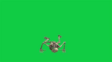 Image result for Horror Greenscreen Clips