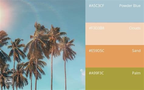 Image result for How to Create Color Combinations