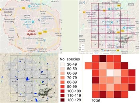 How 60 volunteers created India’s first bird atlas in Mysuru