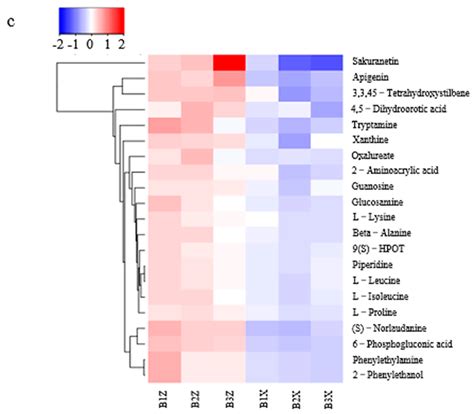Differences in Microbial Community and Metabolites in Litter Layer of ...