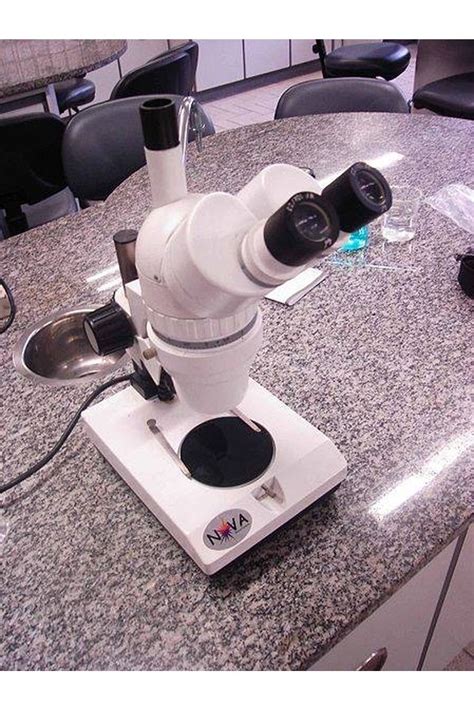Image result for Objects Under the Dissecting Microscope
