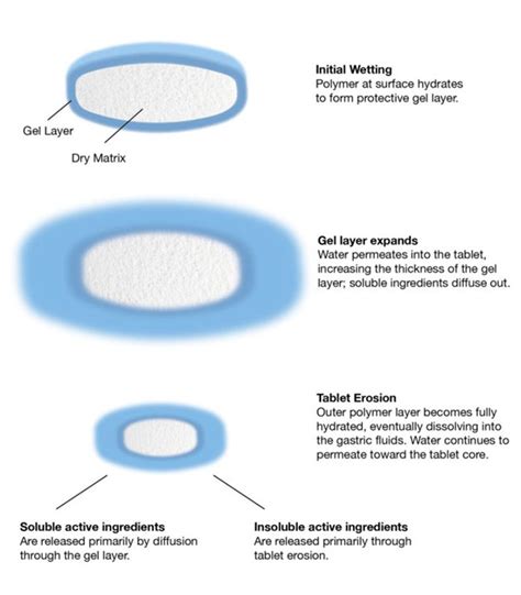 What Is Extended Release 的图像结果