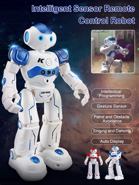 RC Robot 的图像结果