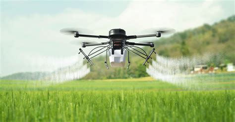 Farmers employ AI-powered drones to get rid of insects and fight crop ...