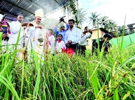 Raia villagers celebrate Konsanchem Fest with pomp and fervour