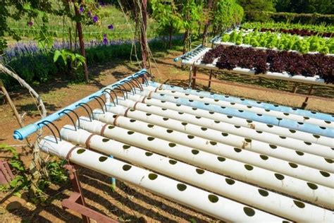 Build a NFT Hydroponic System Using 50Mm PVC 的图像结果