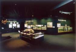 ZooLex Exhibit - Manatee Springs