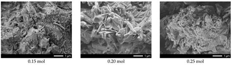 Synthesis, Properties and Photocatalytic Activity of CaTiO3-Based ...