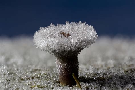 Image result for Frost Rust Tips and Tricks