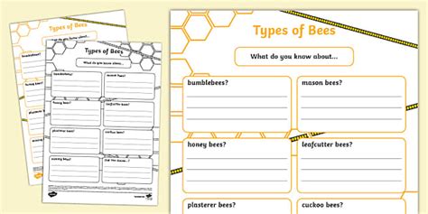 CBeebies Bees Fact File 的图像结果