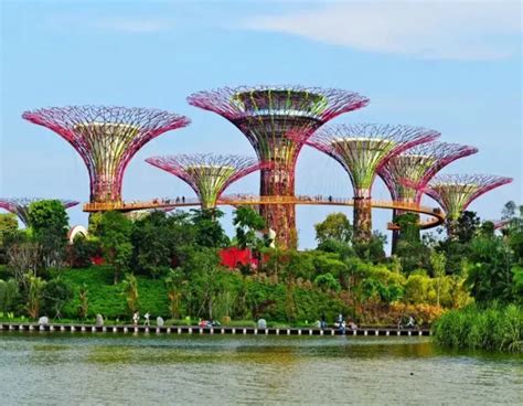 Tour Operators | Tour and Travels Packages in Trichy | Phoenix tour