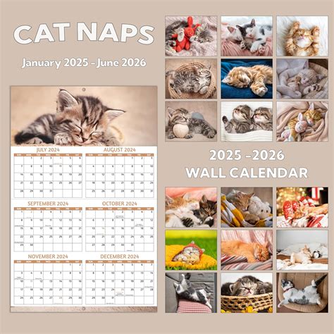 2025-2026 Calendar, Cat Naps Calendar 2025-2026 Australia | Ubuy