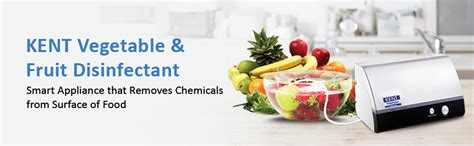 KENT 11022 Counter Top Vegetable & Fruit Cleaner | Bio-Friendly ozone ...