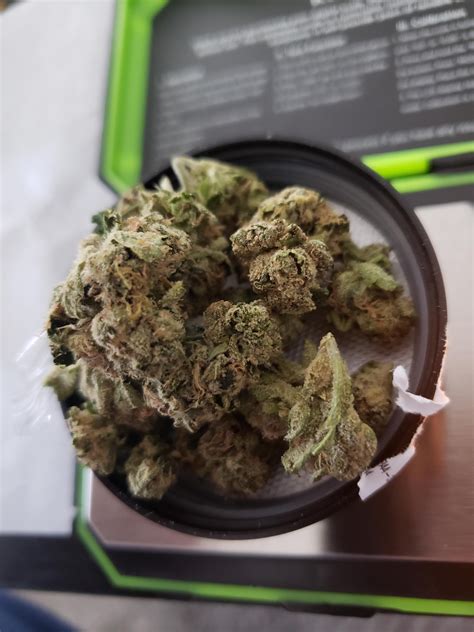 Sunset Octane, Beach Cake and Rae Bae : r/MDEnts