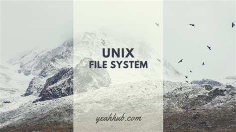 Image result for Object File Unix