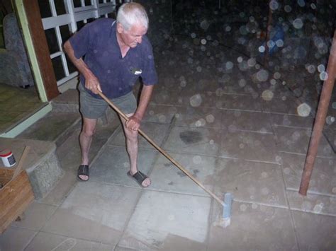 Hope and Mourning in the Anthropocene: Understanding Ecological Grief ...