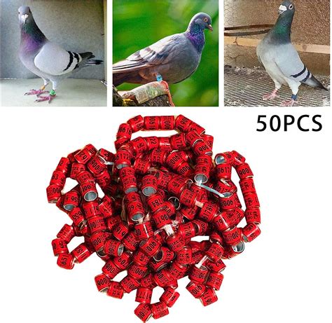 Buy Colcolo 50x 2023 Aluminium Pigeon Leg Rings, Numbered 8mm Dove Foot ...