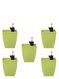 Chatura Self Watering Pots - Set of 5 – Ugaoo