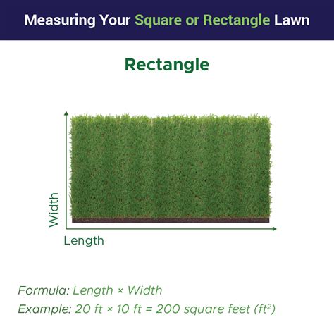 How To Calculate Lawn Size Accurately: Measure Your Yard for a Blog Post