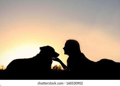 Image result for Shell. Shop Code