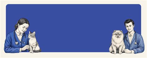 Petter: Best Home Veterinary Service in Delhi | Best Online Vet ...