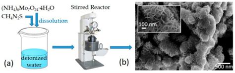 Field Emission Characterization of MoS2 Nanoflowers