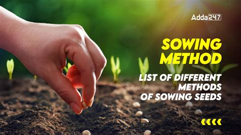 Sowing Method: List of Different Methods of Sowing Seeds