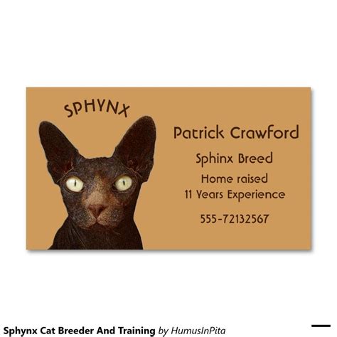 Sphynx Cat Breeder And Training Business Card | Zazzle