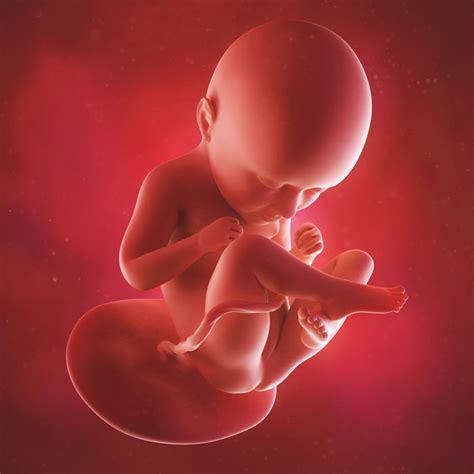 Semana 35 de embarazo: cambios, síntomas y consejos (2022)