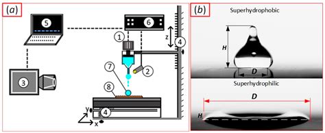 Spreading of Impacting Water Droplet on Surface with Fixed ...