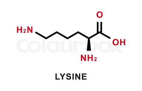 Structure Of Lysine