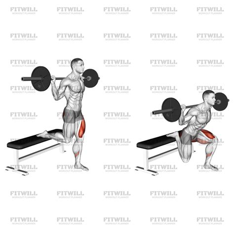 Barbell Single Leg Split Squat: Exercise Guide, Video, Techniques ...