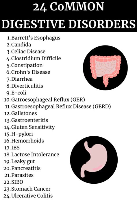 Common Digestive Problems 的图像结果