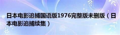 《大追捕粤语版》正片-在线观看高清完整未删减版-电影-Vidhub视频库