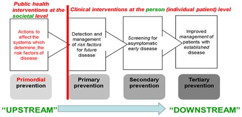 Prevention and Control Strategies for Non-Communicable Disease ...