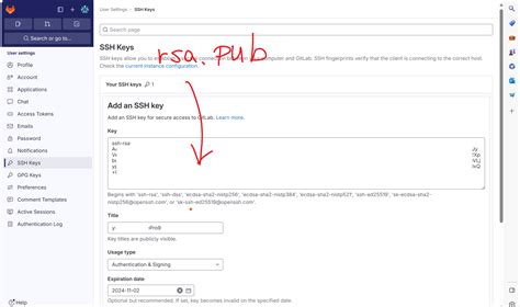 GitLab SSH Key Custom Instance 的图像结果