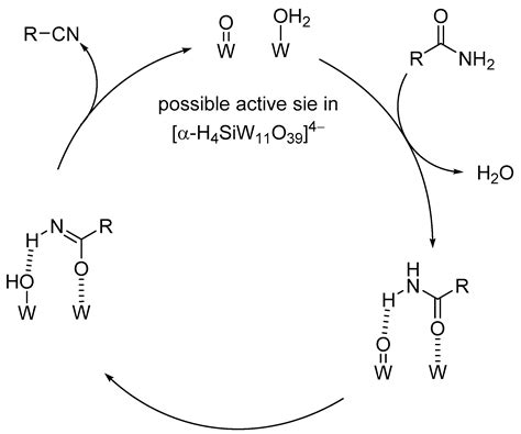 Base Catalysis by Mono- and Polyoxometalates