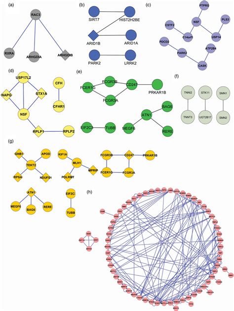 Image result for Formation of Copy Number Variation