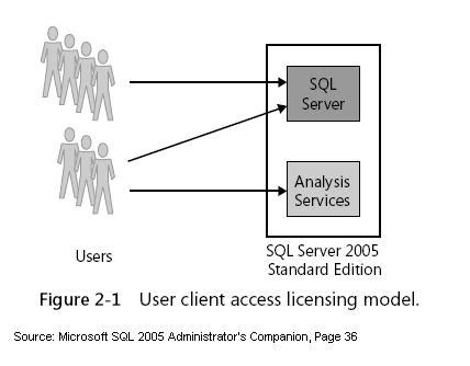 Image result for Client Access License Example