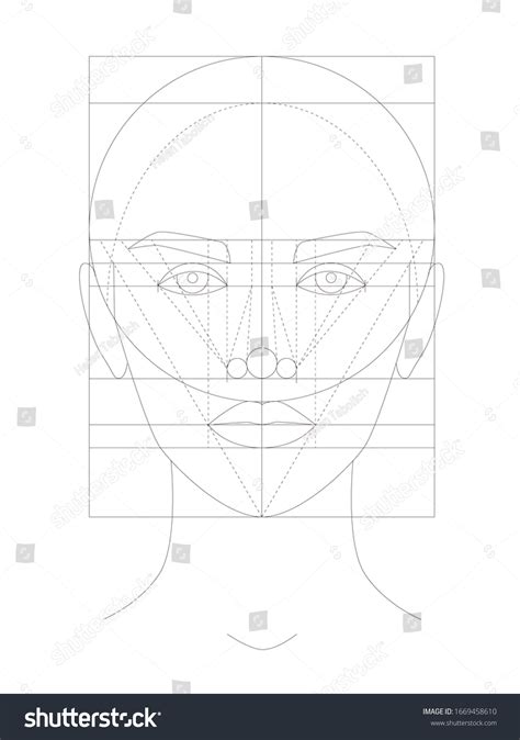 Golden Ratio Face Template The Ideal Face & Profile: Here's What