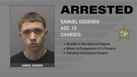 Arrest Made in Deadly Shooting Near Citrus Park Mall | HCSO, Tampa, FL