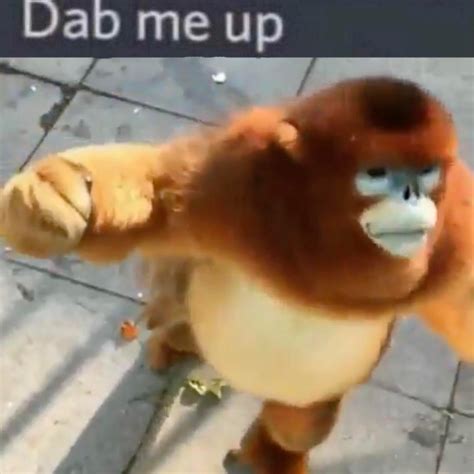 dab me up monke | Dab Me Up Emoji | Know Your Meme