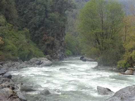 Eflows in India: Groping in Darkness – SANDRP