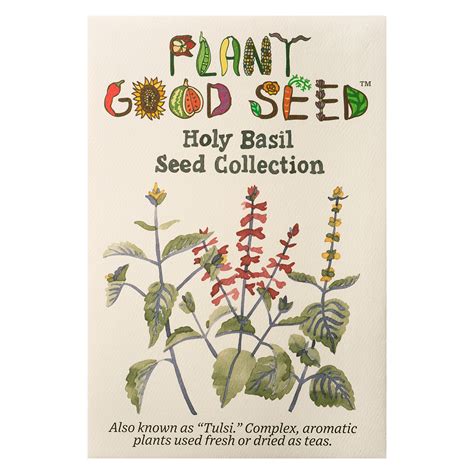 Holy Basil Tulsi Seed Collection - The Plant Good Seed Company