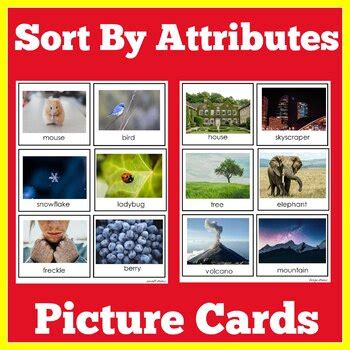 Sorting Attributes Lesson 的图像结果