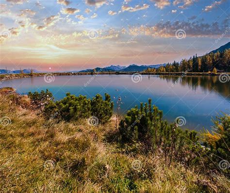 View 的图像结果