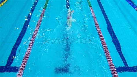 Swimmer Starting Block 的图像结果