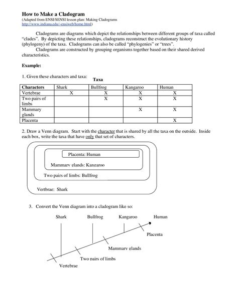 Image result for Cladogram Practice Worksheet